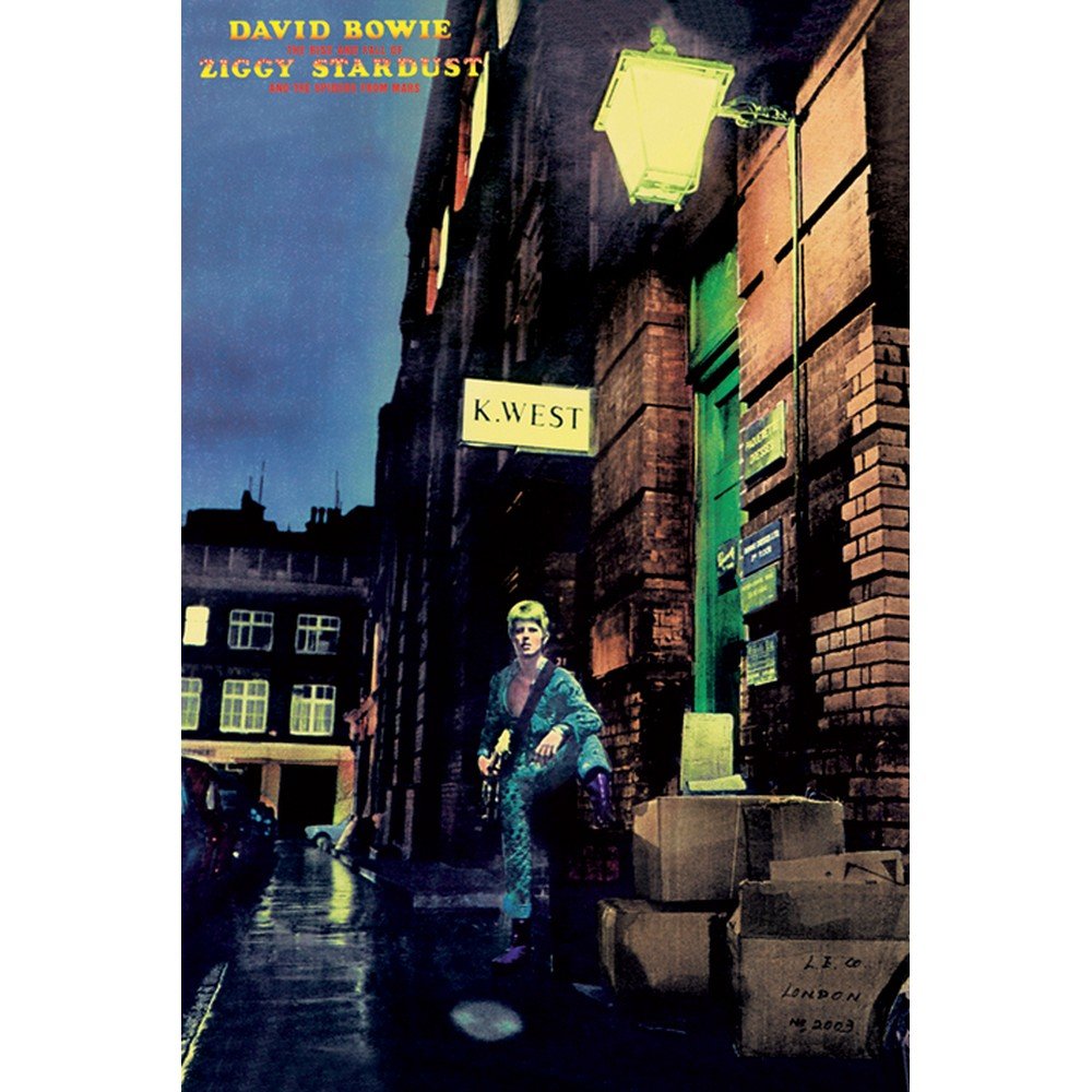 DAVID BOWIE デヴィッドボウイ - Ziggy Stardust / ポスター - PGS